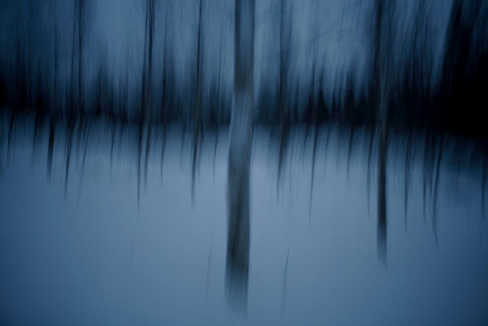 Les Arbres Bleus, 3