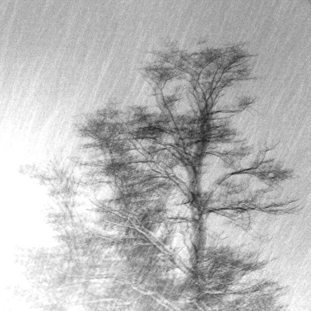 Fade Out, 4