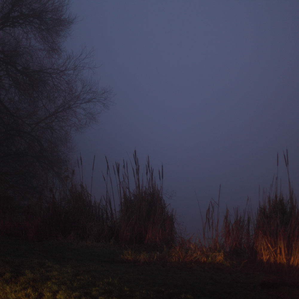 Le Réveil de l'Erdre, 1