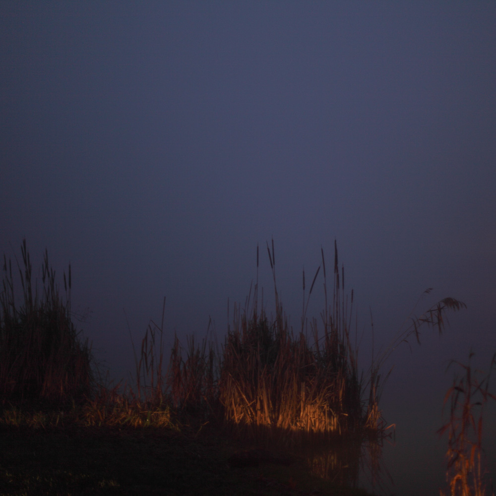 Le Réveil de l'Erdre, 2