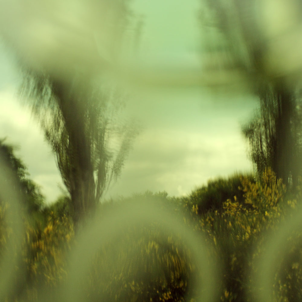 Le Printemps retrouvé, 1