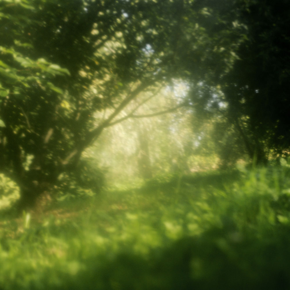 Le Printemps retrouvé, 4