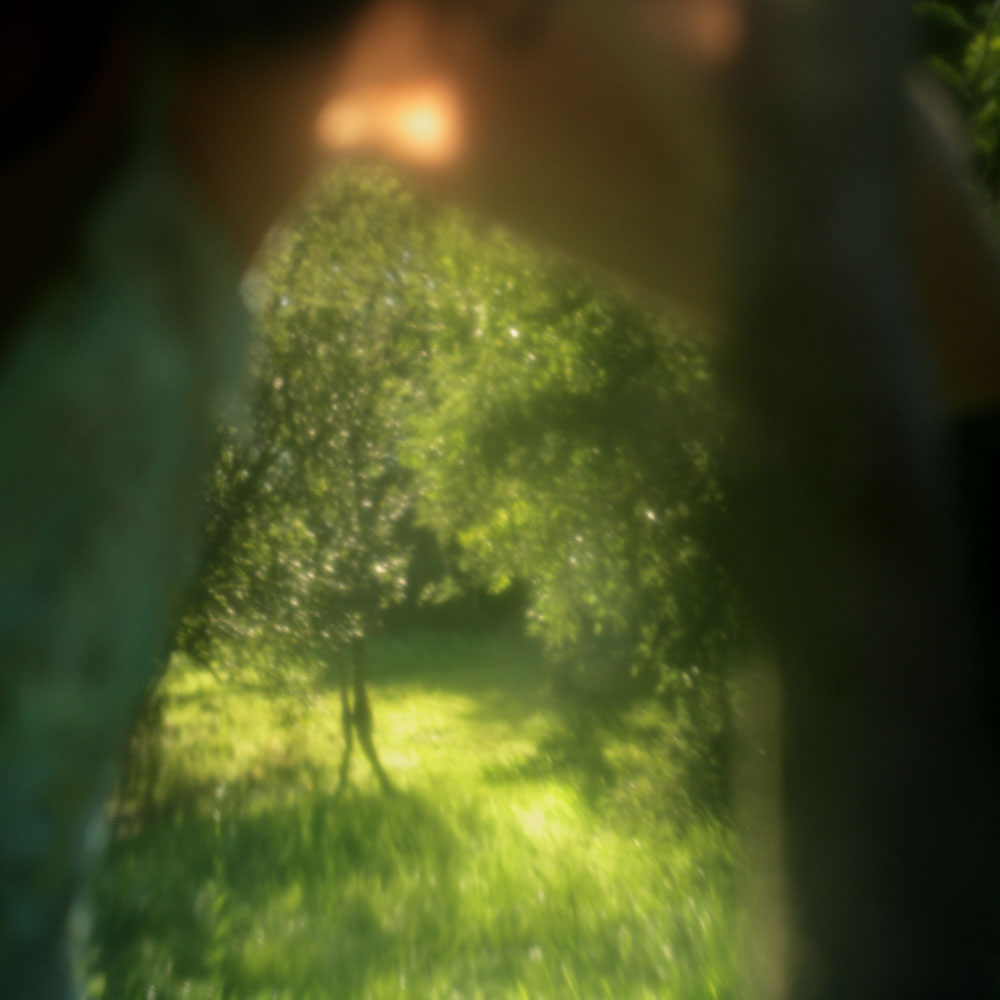 Le Printemps retrouvé, 6