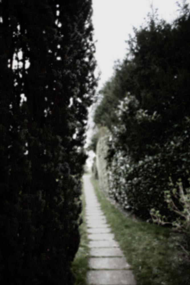 Shadows, 2